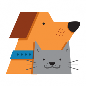 amoraospets.com
