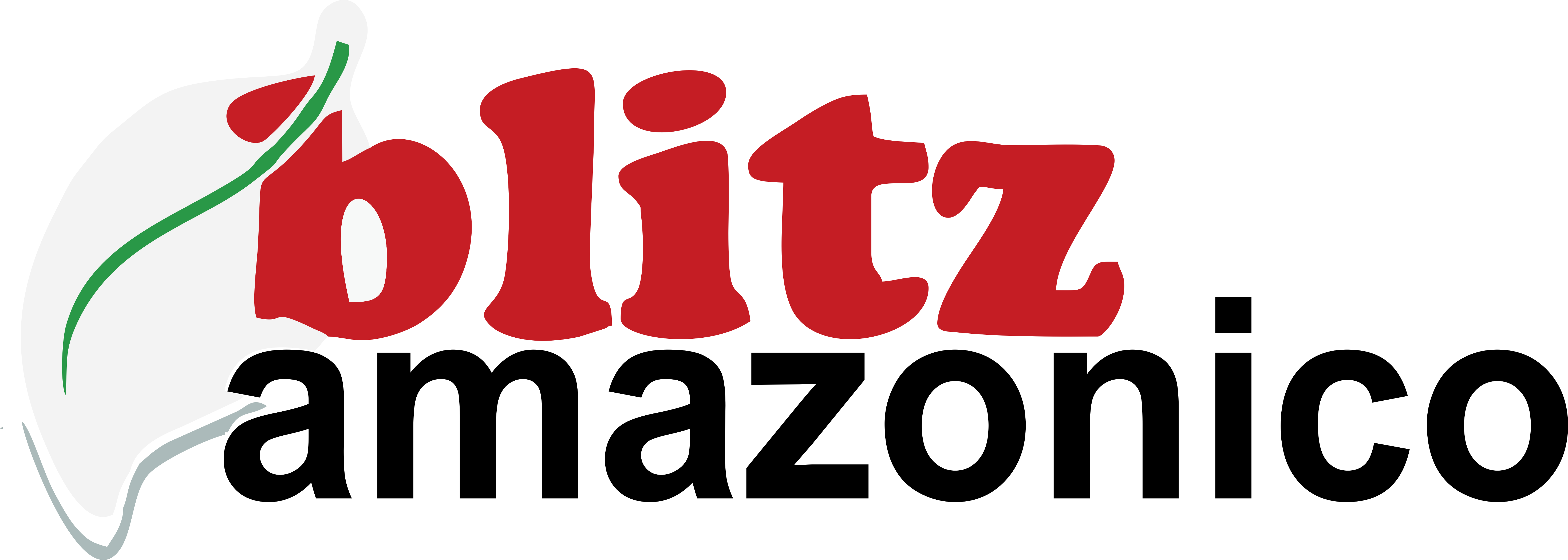 blitzamazonico.com.br