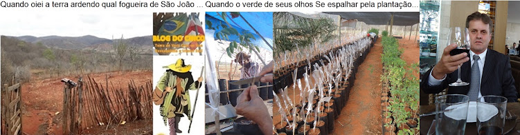 BLOG DO CHICO