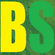 Brazil Soccer