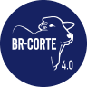 brcorte.com.br