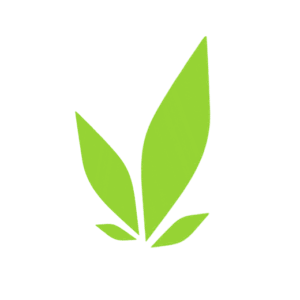 CANAL BIOENERGIA