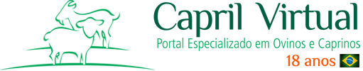 caprilvirtual.com.br