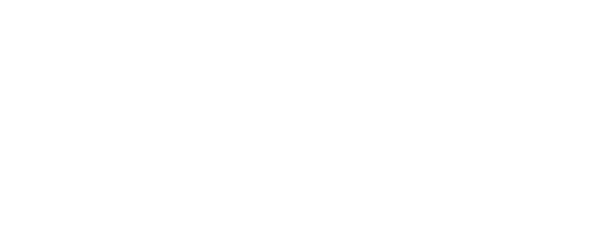 conecte.ai