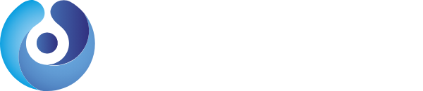 Flyon Marketing Digital