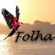 FOLHA DE MURTINHO