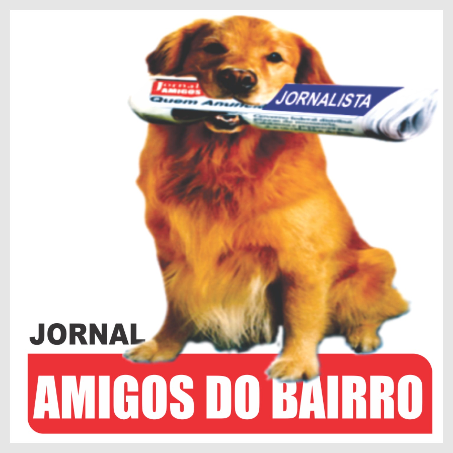 G1 SUL COMUNICAÇÕES- AMIGOS DO BAIRRO