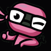 Geek Ninja