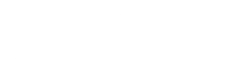 Pandora Treinamentos