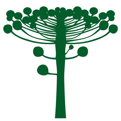 Paraná Extra