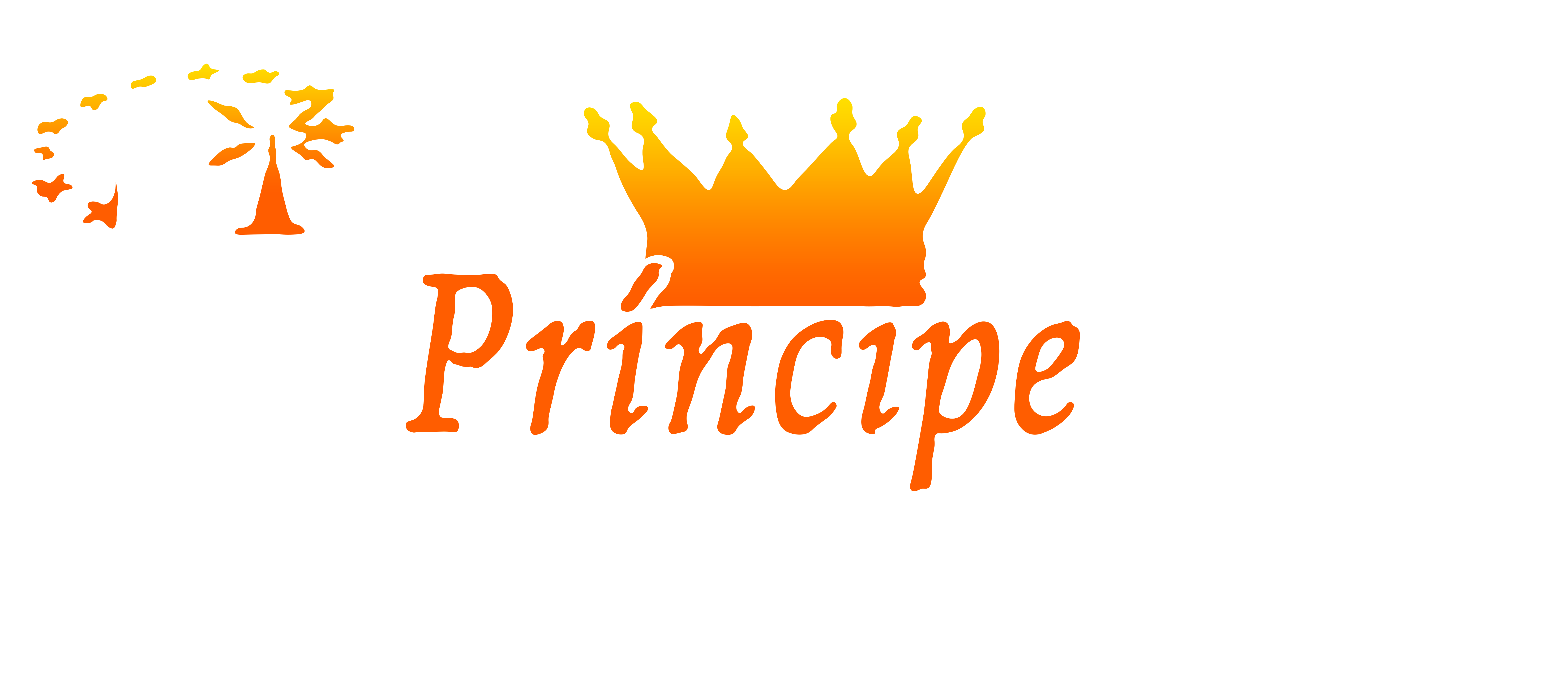 RÁDIO PRíNCIPE DOS VALES