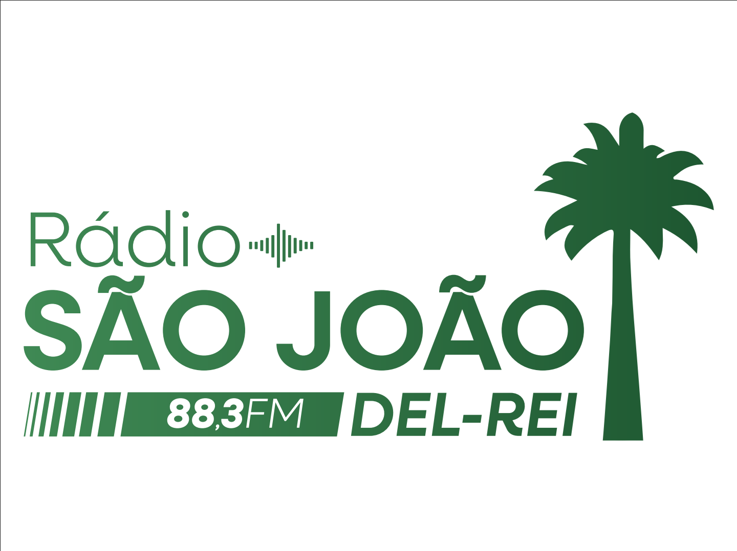 RADIO SAO JOAO DEL REI S A
