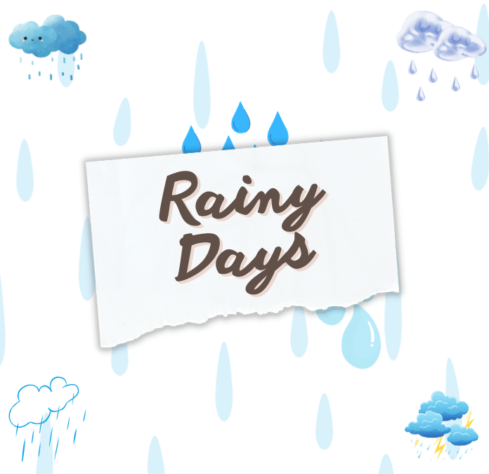 rainydays.com.br