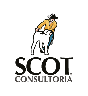 scotconsultoria.com.br