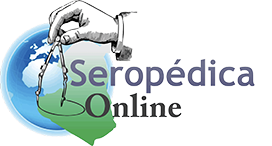 seropedicaonline.com