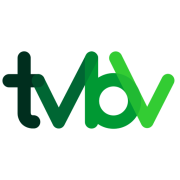 TV BARRIGA VERDE S.A.