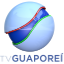TV GUAPOREÍ